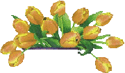 des roses scintillant et qui change de couleurs